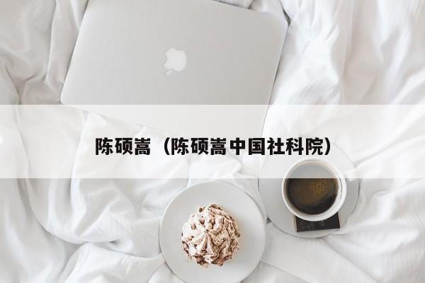 陈硕嵩（陈硕嵩中国社科院）