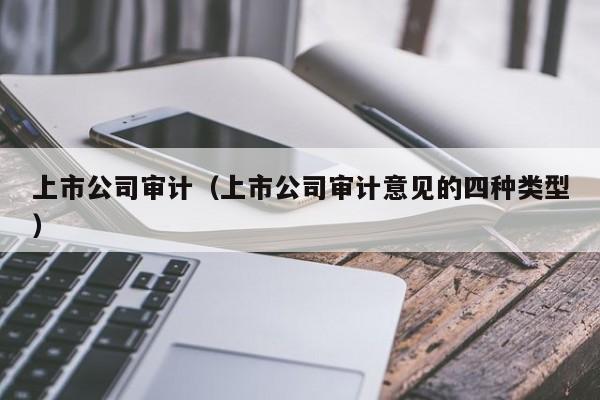 上市公司审计(上市公司审计意见的四种类型)